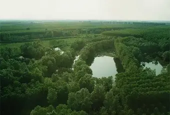 Rexer-Suzzara-Casa-indipendente-in-vendita-Via-Tantine-Suzzara-MN-Altro