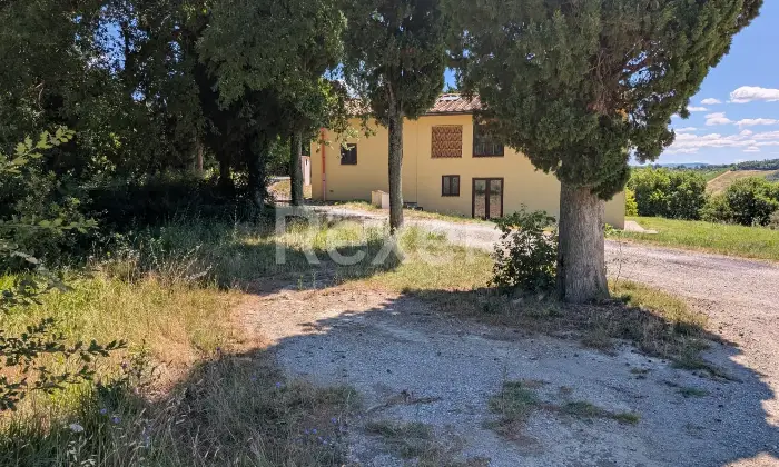 Rexer-San-Gimignano-Elegante-casale-con-vigneto-e-terreno-in-vendita-a-San-Gimignano-Altro
