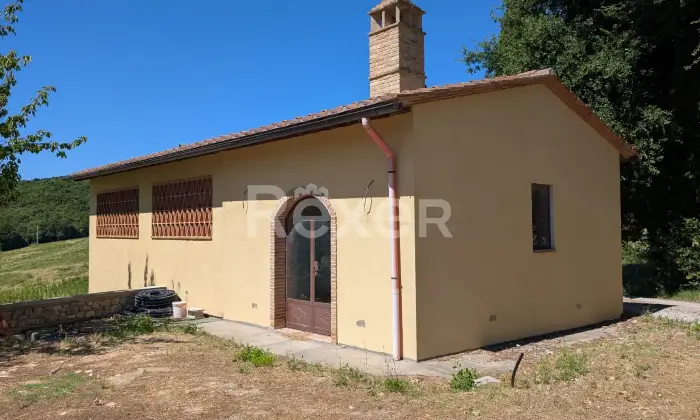 Rexer-San-Gimignano-Elegante-casale-con-vigneto-e-terreno-in-vendita-a-San-Gimignano-Altro