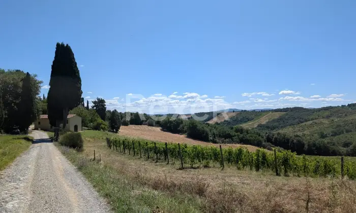 Rexer-San-Gimignano-Elegante-casale-con-vigneto-e-terreno-in-vendita-a-San-Gimignano-Altro
