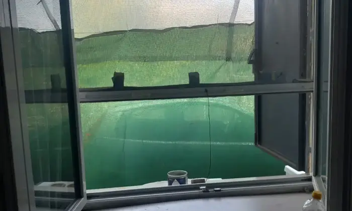 Rexer-Palombaro-Casa-Indipendente-con-Giardino-e-Posti-Auto-a-Palombaro-Altro