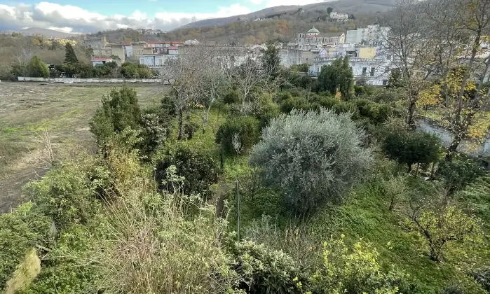 Rexer-Palma-Campania-Incantevole-Propriet-con-Villa-e-Dpendance-nel-Cuore-di-Palma-Campania-Altro
