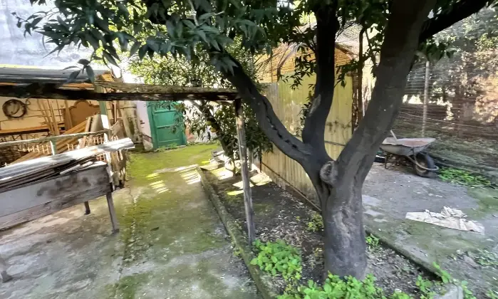 Rexer-Palma-Campania-Incantevole-Propriet-con-Villa-e-Dpendance-nel-Cuore-di-Palma-Campania-Altro