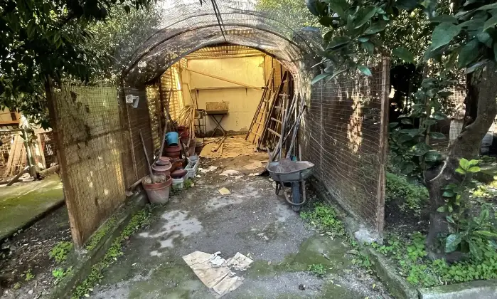 Rexer-Palma-Campania-Incantevole-Propriet-con-Villa-e-Dpendance-nel-Cuore-di-Palma-Campania-Altro