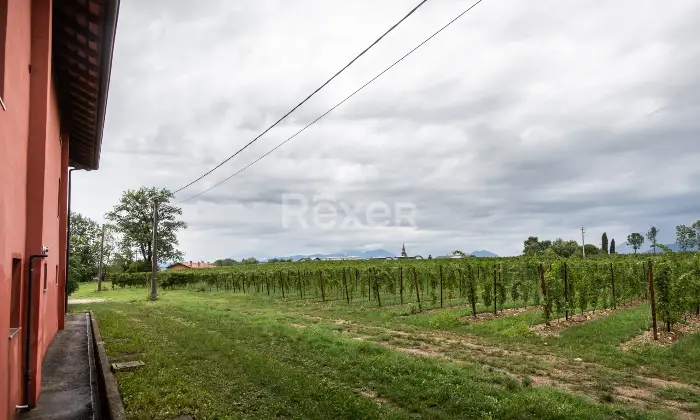 Rexer-TRICESIMO-Casa-Torre-semi-indipendente-su-quattro-livelli-con-box-doppio-e-cantina-Altro