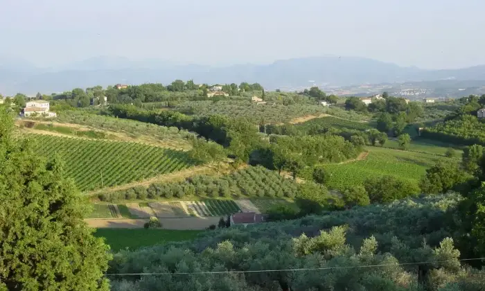 Rexer-Montefalco-Villa-Panoramica-in-vendita-a-Montefalco-Altro