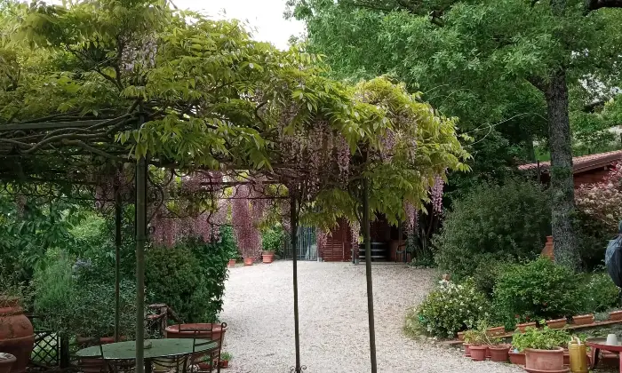 Rexer-Passignano-sul-Trasimeno-Villa-Panoramica-a-Passignano-sul-Trasimeno-Altro