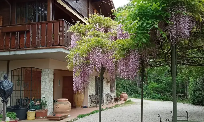 Rexer-Passignano-sul-Trasimeno-Villa-Panoramica-a-Passignano-sul-Trasimeno-Altro