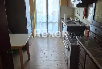 Rexer-Cremona-Appartamento-con-cantina-e-box-Altro