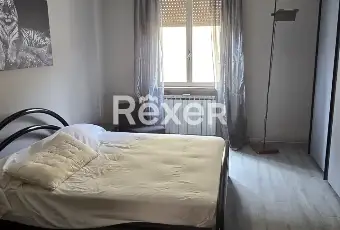 Rexer-Cremona-Appartamento-con-cantina-e-box-Altro