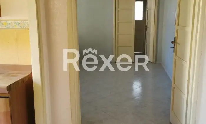Rexer-Catanzaro-Catanzaro-via-Giuseppe-Arena-Altro