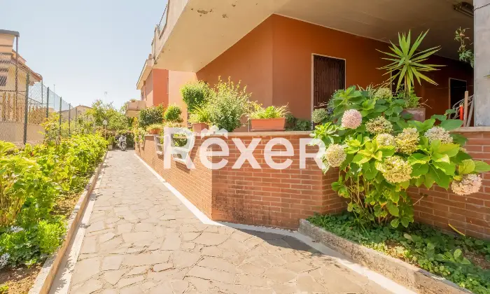 Rexer-Roma-Ottavia-Via-Della-Lucchina-Altro