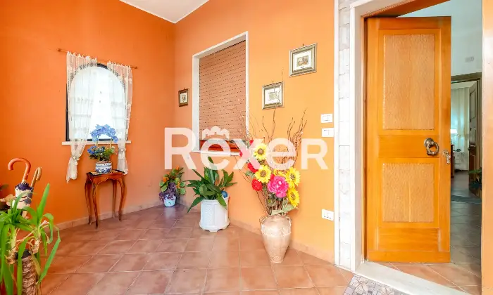 Rexer-Roma-Ottavia-Via-Della-Lucchina-Altro