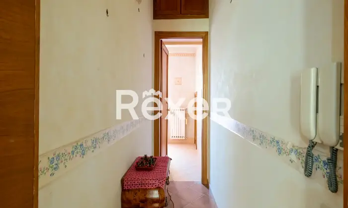 Rexer-Roma-Ottavia-Via-Della-Lucchina-Altro