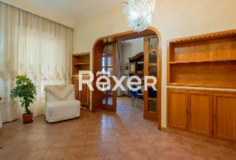 Rexer-Roma-Ottavia-Via-Della-Lucchina-Altro