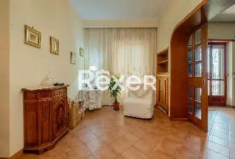 Rexer-Roma-Ottavia-Via-Della-Lucchina-Altro