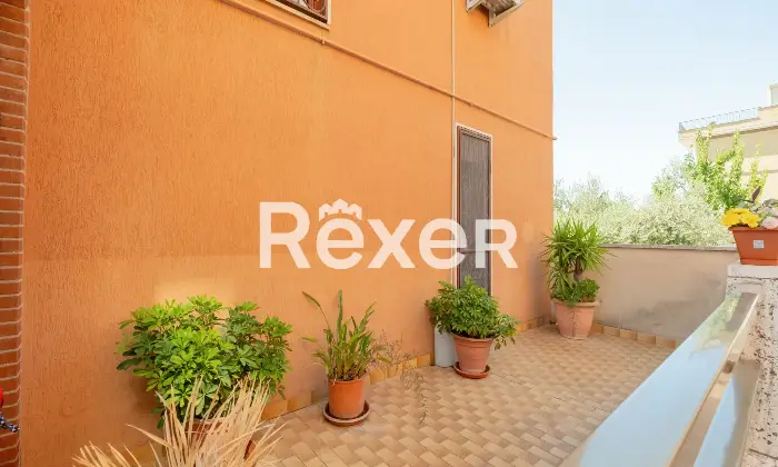 Rexer-Roma-Ottavia-Via-Della-Lucchina-Altro