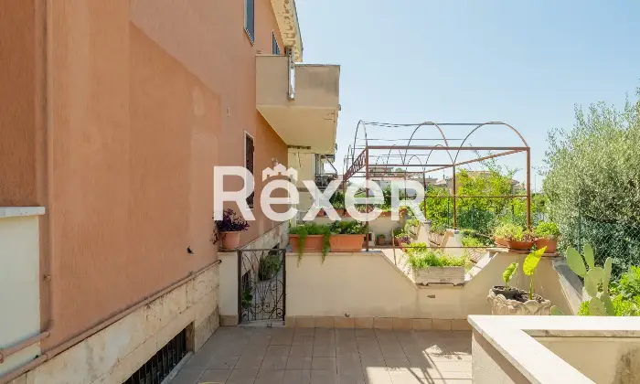 Rexer-Roma-Ottavia-Via-Della-Lucchina-Altro