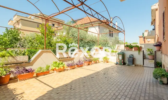 Rexer-Roma-Ottavia-Via-Della-Lucchina-Altro