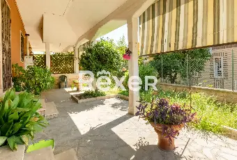Rexer-Roma-Ottavia-Via-Della-Lucchina-Altro