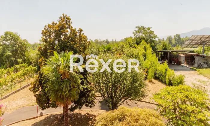 Rexer-Bricherasio-Villa-con-giardino-Altro
