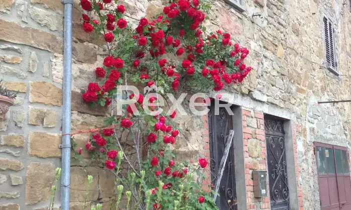 Rexer-Palazzo-del-Pero-Casa-indipendente-su-tre-livelli-Altro