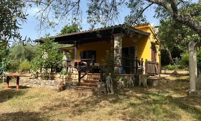 Rexer-Maenza-due-unit-immobiliari-con-Uliveto-Giardino
