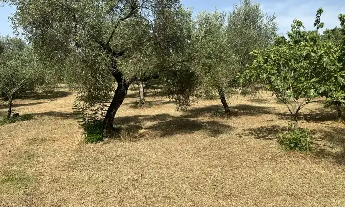 Rexer-Maenza-due-unit-immobiliari-con-Uliveto-Terrazzo