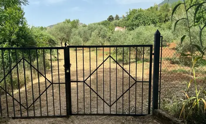 Rexer-Maenza-due-unit-immobiliari-con-Uliveto-Giardino