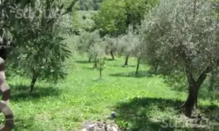 Rexer-Maenza-due-unit-immobiliari-con-Uliveto-Terrazzo