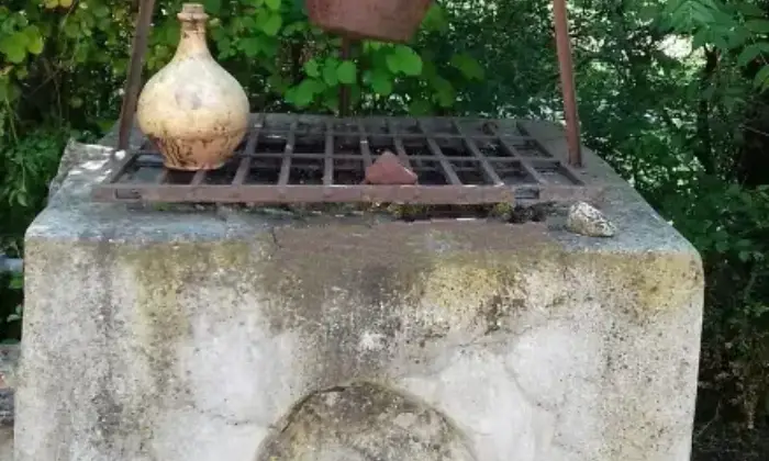 Rexer-Reggio-Emilia-Propriet-rustica-in-vendita-in-Via-Francesca-CanaliFogliano-Reggio-Emilia-Altro