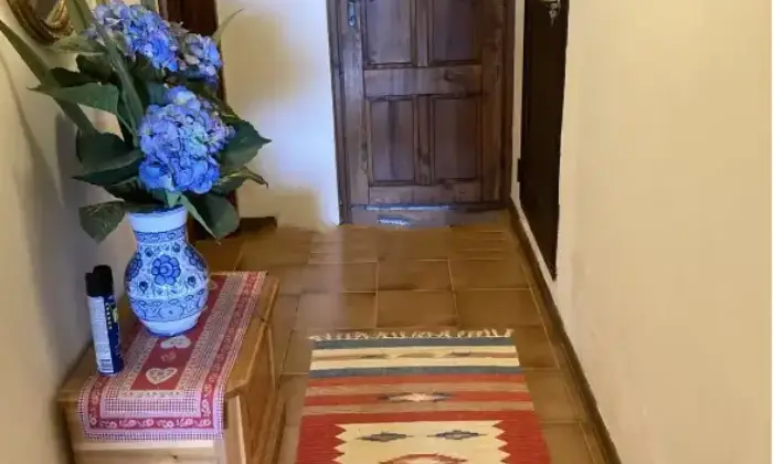 Rexer-Ravascletto-Casa-indipendente-in-vendita-in-CiampeiRavascletto-Altro