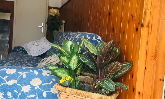 Rexer-Precenicco-Villa-in-Vendita-Via-Pio-Paschini-Precenicco-UD-Altro