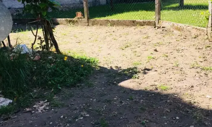 Rexer-Precenicco-Villa-in-Vendita-Via-Pio-Paschini-Precenicco-UD-Altro
