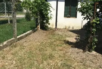 Rexer-Precenicco-Villa-in-Vendita-Via-Pio-Paschini-Precenicco-UD-Altro