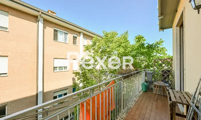 Rexer-Pisa-Trilocale-pronto-alluso-Altro