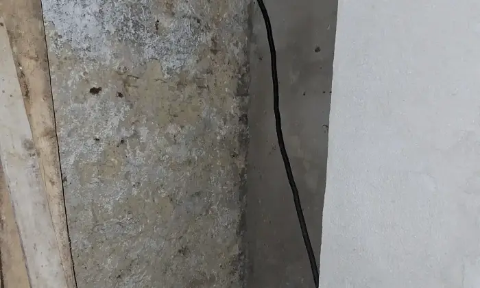 Rexer-Alberona-Casa-indipendente-nel-cuore-del-centro-storico-Cantina