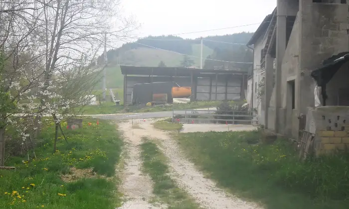 Rexer-SantAngelo-in-Vado-Vendesi-casale-da-Ristrutturare-Giardino