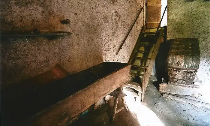 Rexer-Orero-Opportunit-di-sviluppo-residenziale-e-cohousing-entroterra-Ligure-Chiavari-Cantina