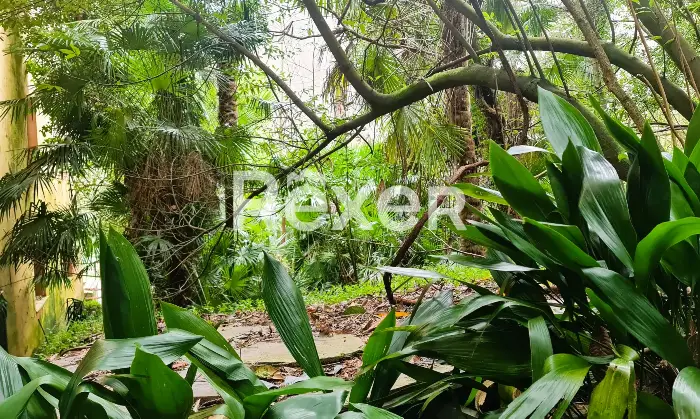 Rexer-Orero-Opportunit-di-sviluppo-residenziale-e-cohousing-entroterra-Ligure-Chiavari-Giardino