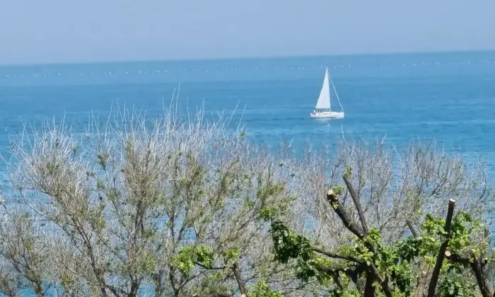 Rexer-Pedaso-Vendesi-attico-panoramico-nel-centro-di-Pedaso-a-soli-metri-dal-mare-e-da-tutti-i-servizi-Altro