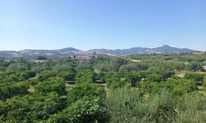 Rexer-Tursi-Abitazione-con-Terreno-Agricolo-Terrazzo