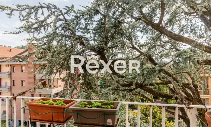 Rexer-Torino-NUDA-PROPRIETA-Appartamento-articolato-su-due-livelli-ultimo-piano-Altro