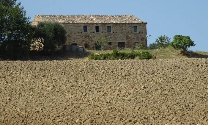 Rexer-Fermo-Casalecascina-in-vendita-in-Contrada-Salvano-Zona-Rurale-Sud-Fermo-Altro