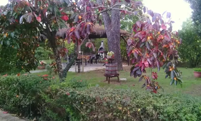 Rexer-Foiano-della-Chiana-Villa-con-attivit-agrituristica-in-vendita-in-Via-di-Sinalunga-Centro-Foiano-della-Chiana-Altro