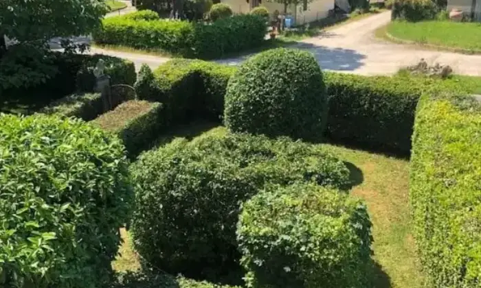 Rexer-Foiano-della-Chiana-Villa-con-attivit-agrituristica-in-vendita-in-Via-di-Sinalunga-Centro-Foiano-della-Chiana-Altro