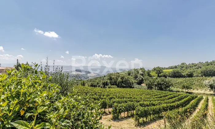 Rexer-Montecatini-Val-di-Cecina-Casale-con-piscina-e-terreni-con-produzione-di-vino-di-alta-qualit-Altro