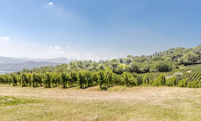 Rexer-Montecatini-Val-di-Cecina-Casale-con-piscina-e-terreni-con-produzione-di-vino-di-alta-qualit-Altro