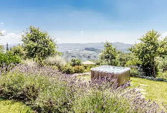 Rexer-Montecatini-Val-di-Cecina-Casale-con-piscina-e-terreni-con-produzione-di-vino-di-alta-qualit-Altro