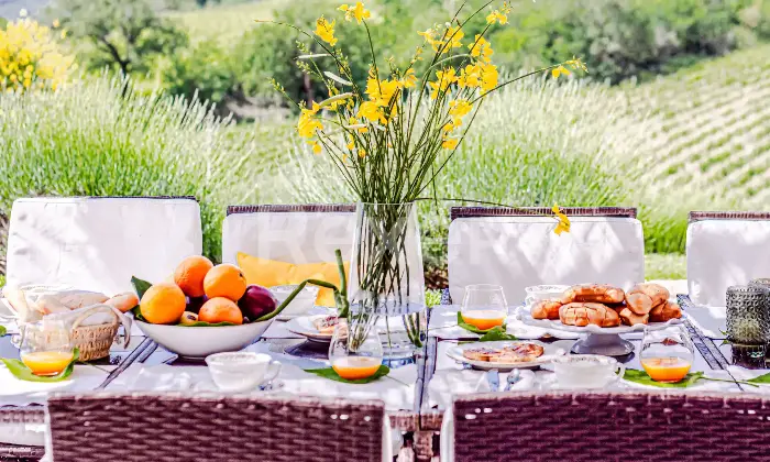 Rexer-Montecatini-Val-di-Cecina-Casale-con-piscina-e-terreni-con-produzione-di-vino-di-alta-qualit-Altro